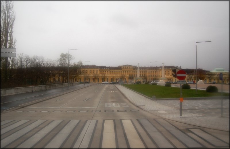 DSC_7271.jpg