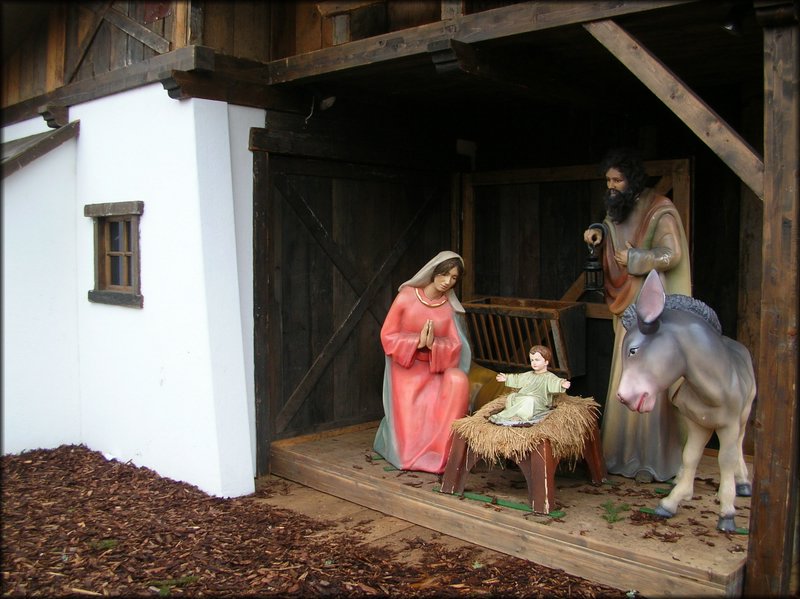 DSCN9380.JPG
