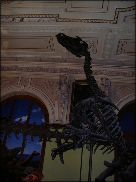 DSCN9420.jpg