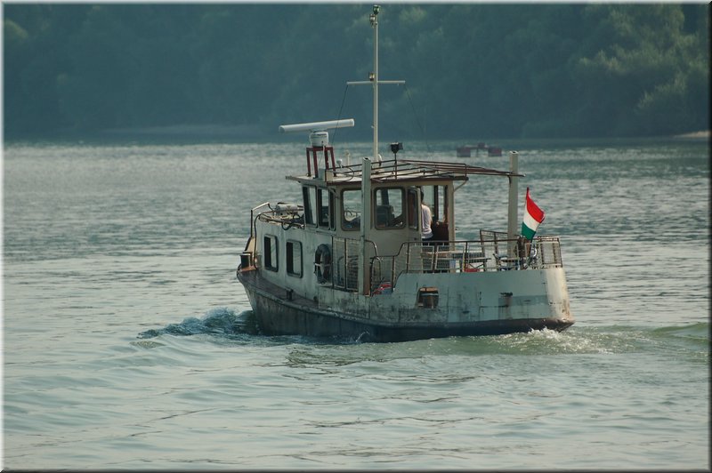 DSC_6246.jpg