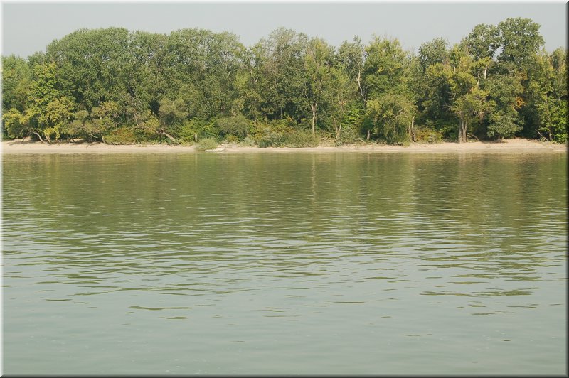 DSC_6263.JPG