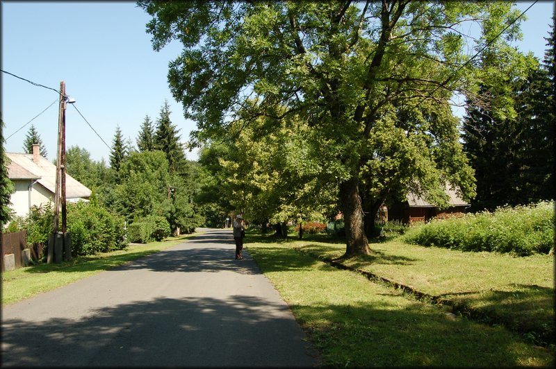 DSC_2420.JPG