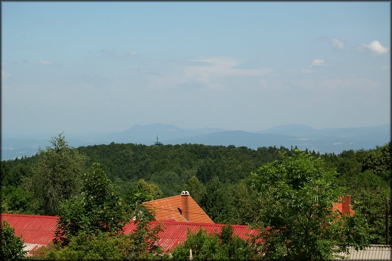 DSC_2426.jpg