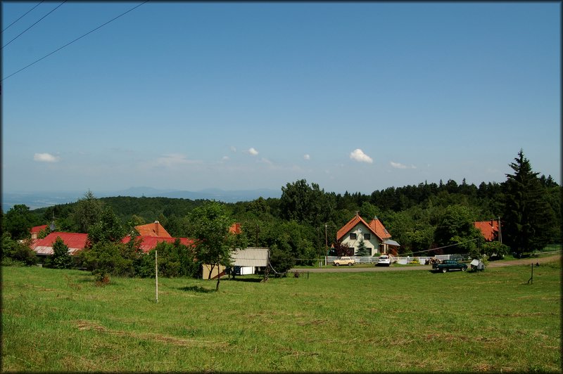 DSC_2427.jpg