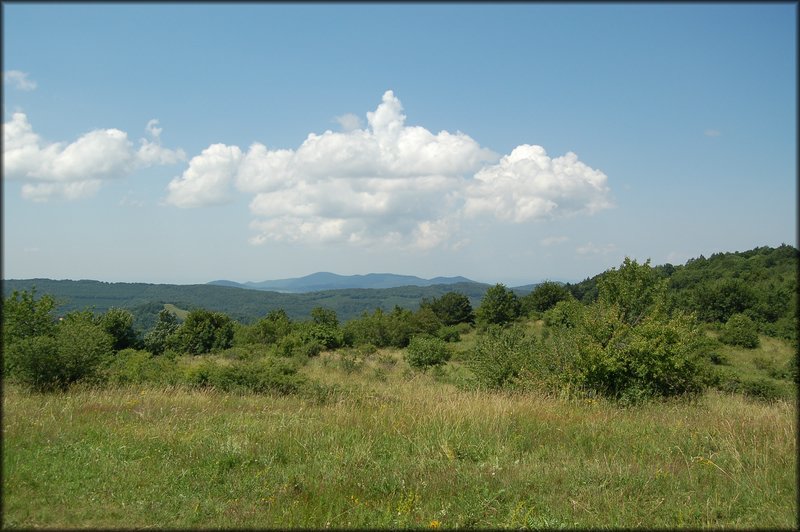 DSC_2440.JPG
