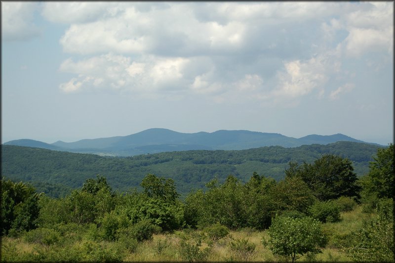 DSC_2441.jpg