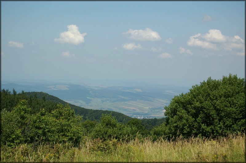 DSC_2443.jpg