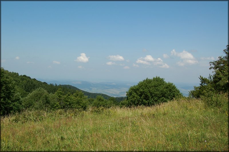 DSC_2444.jpg