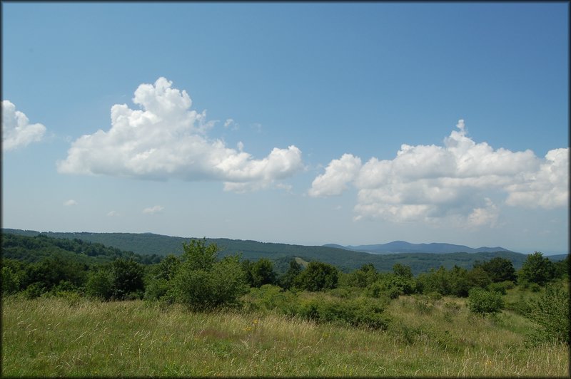 DSC_2445.JPG