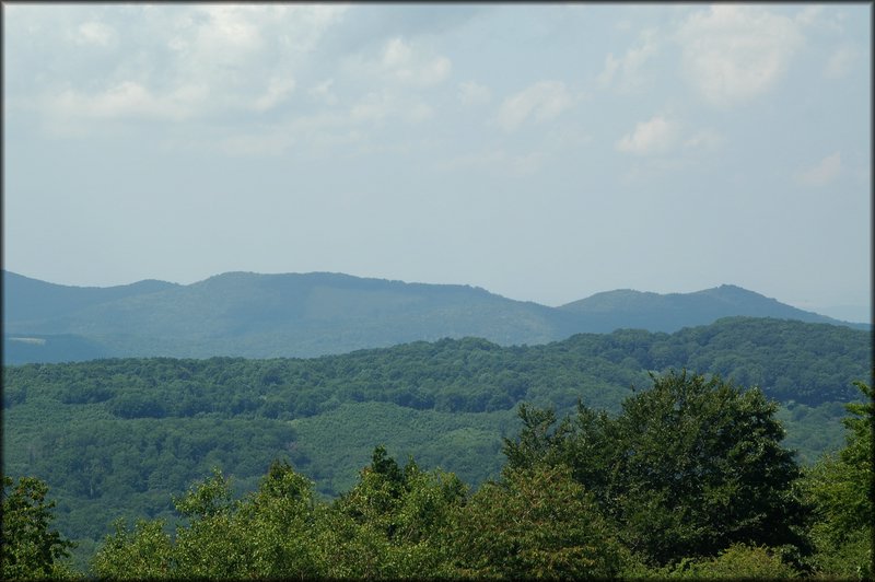 DSC_2452.jpg