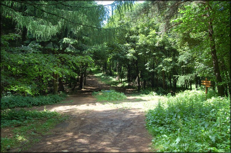 DSC_2490.JPG