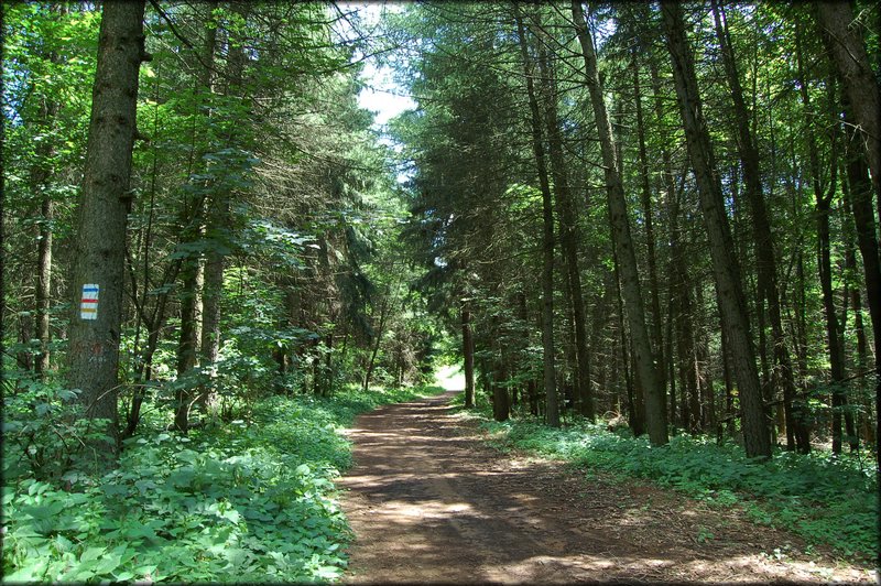 DSC_2492.jpg