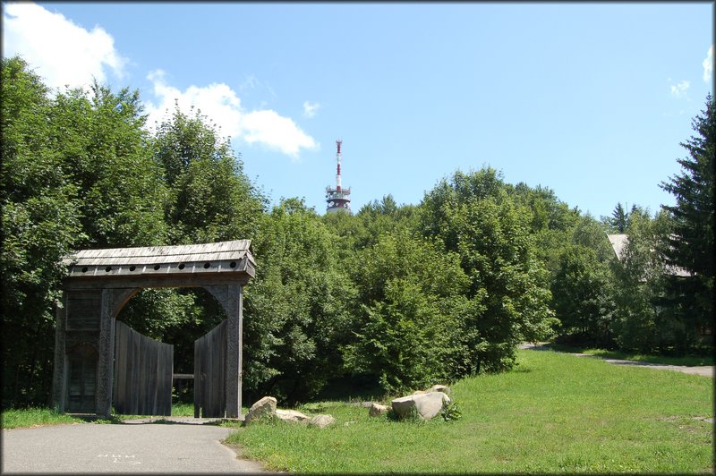 DSC_2500.JPG
