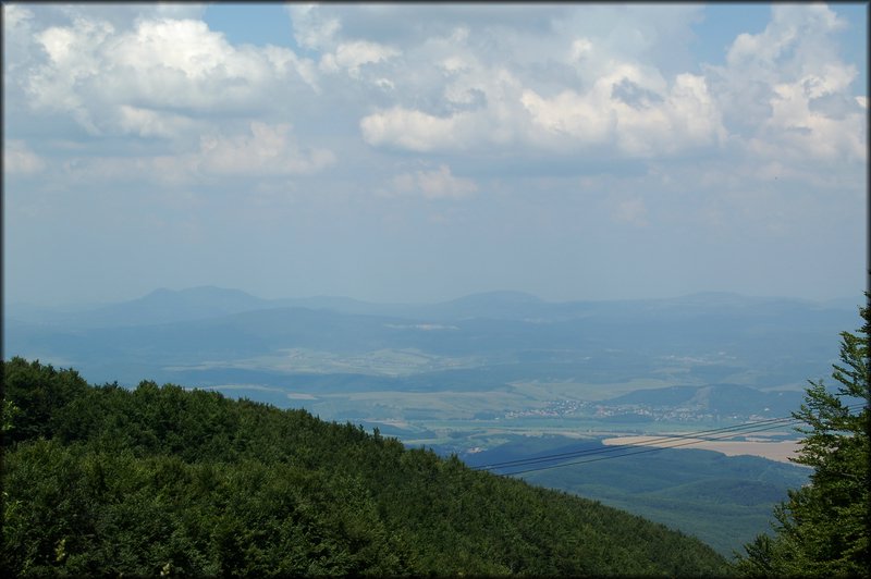 DSC_2502.jpg
