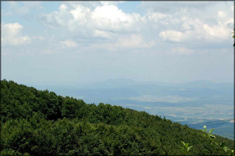 DSC_2503.jpg
