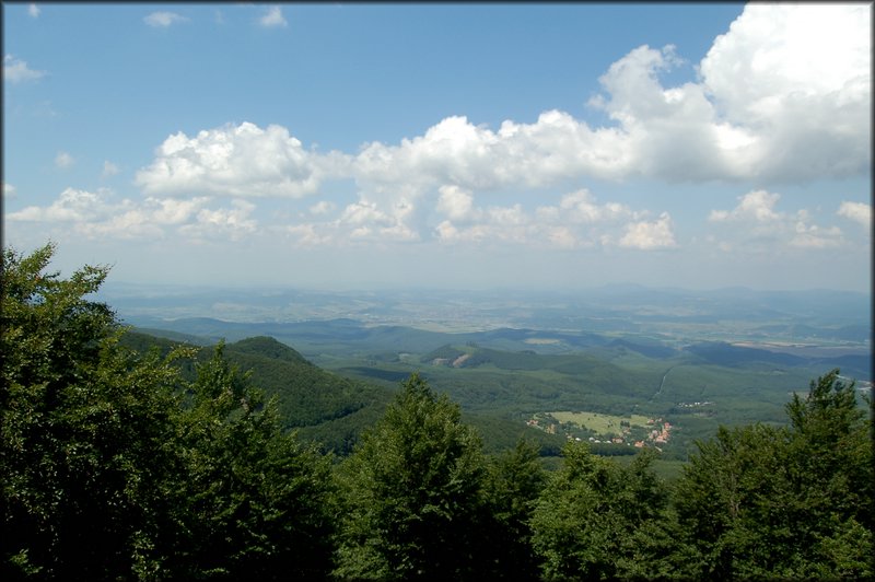 DSC_2515.jpg