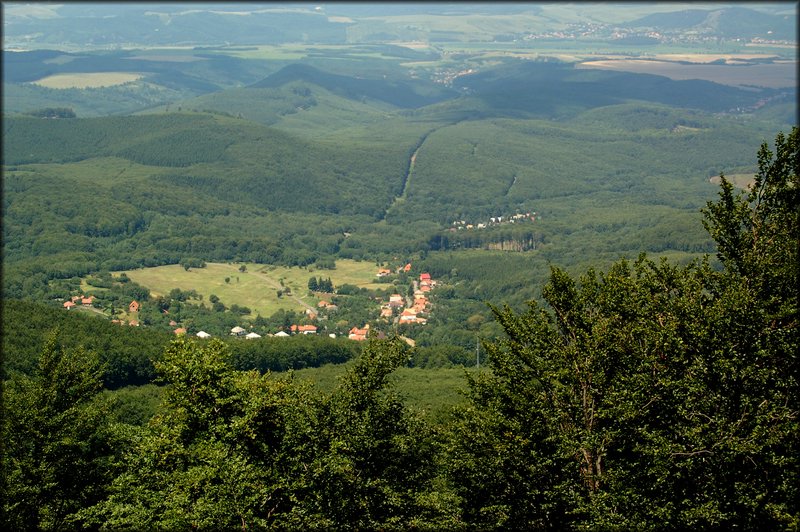 DSC_2516.jpg
