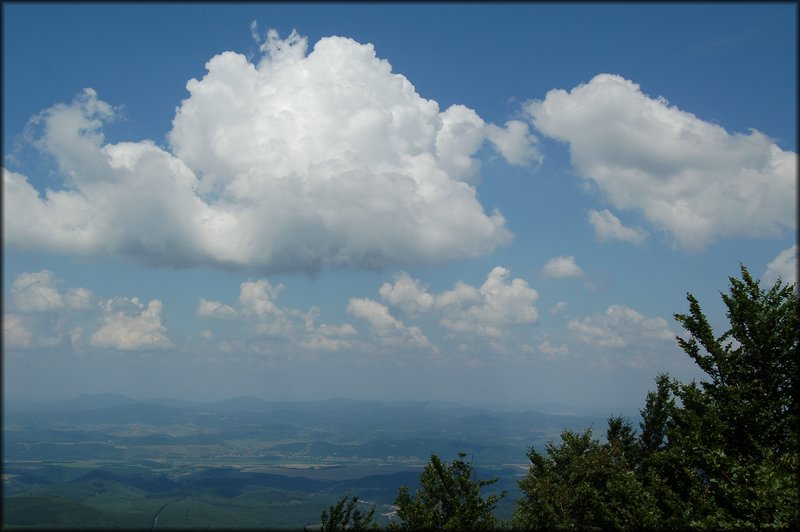 DSC_2518.jpg