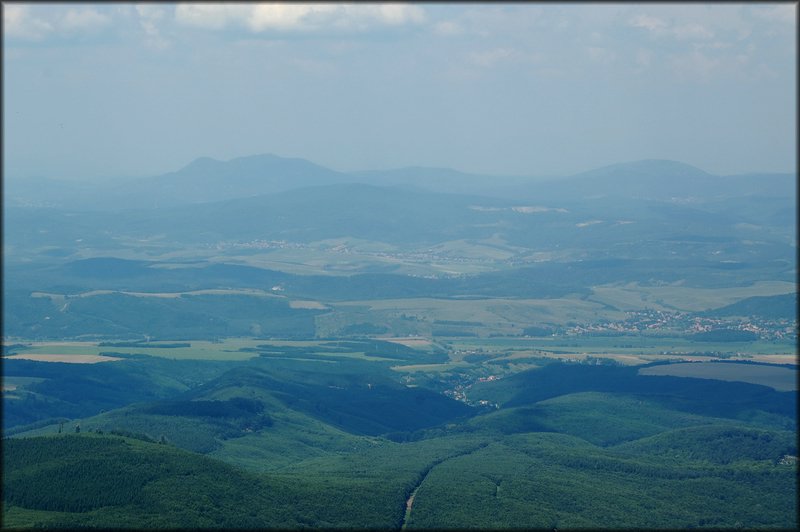 DSC_2519.jpg