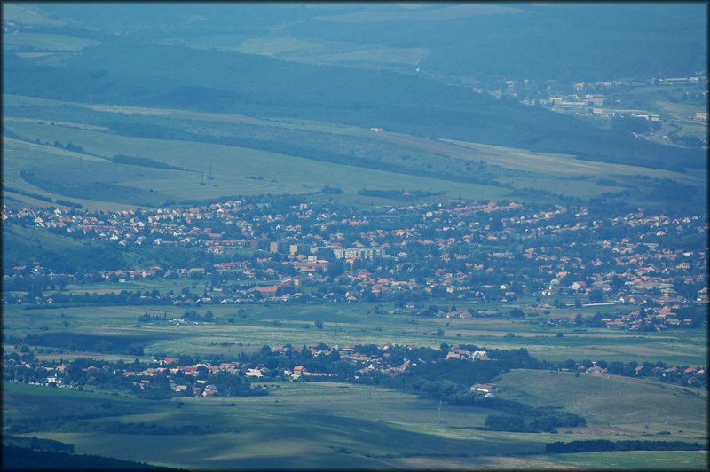 DSC_2522.jpg