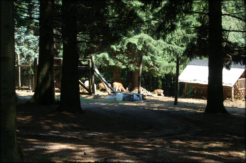 DSC_2526.JPG
