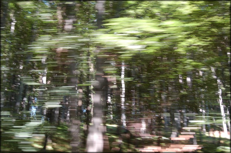 DSC_2534.jpg