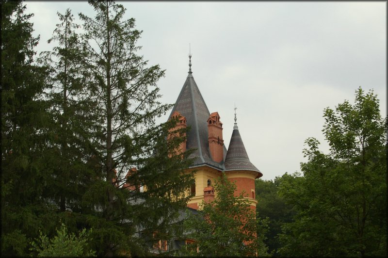 DSC_2546.jpg