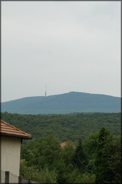 DSC_2553.jpg