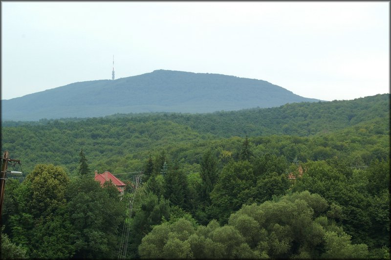 DSC_2556.jpg