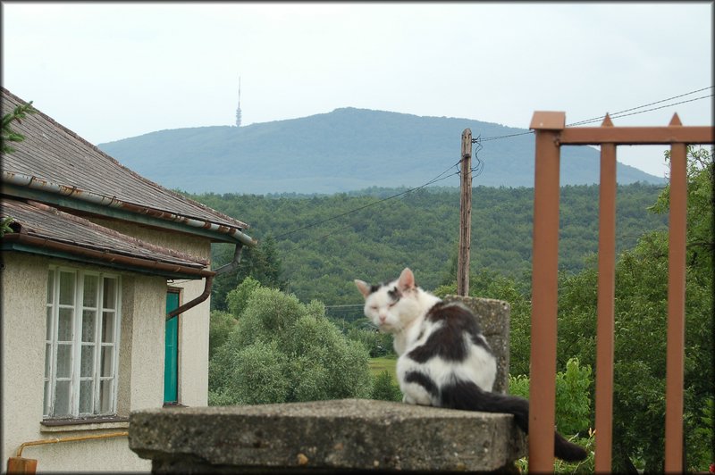 DSC_2567.JPG