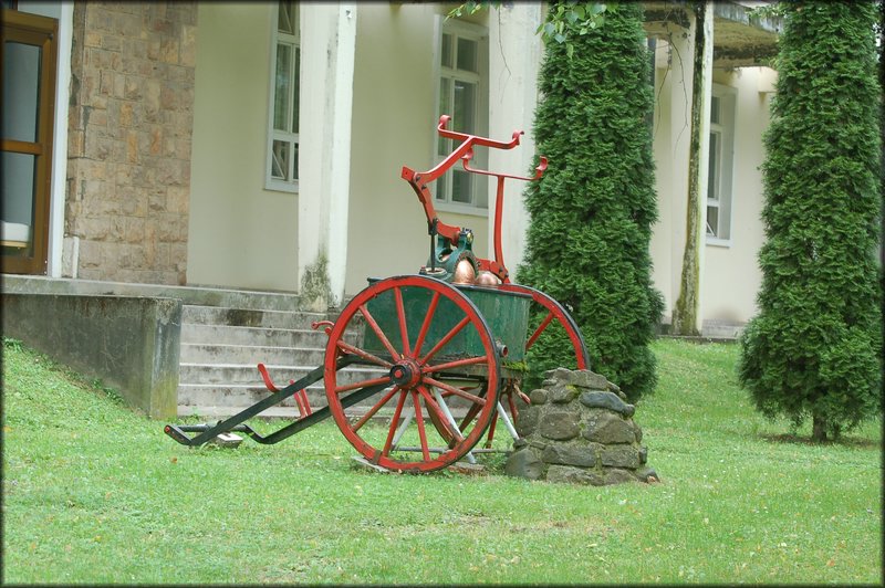 DSC_2588.JPG