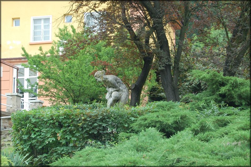DSC_2598.JPG