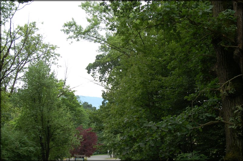 DSC_2599.JPG