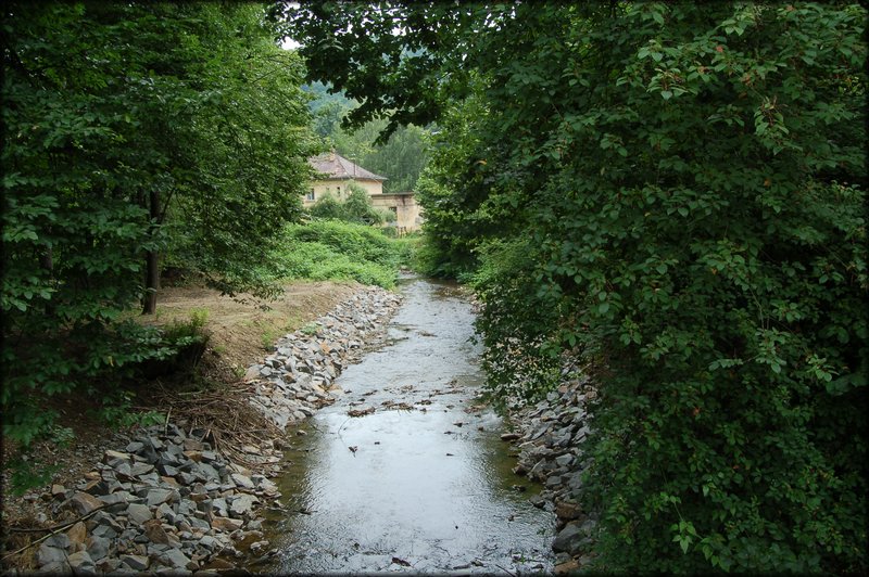 DSC_2636.JPG