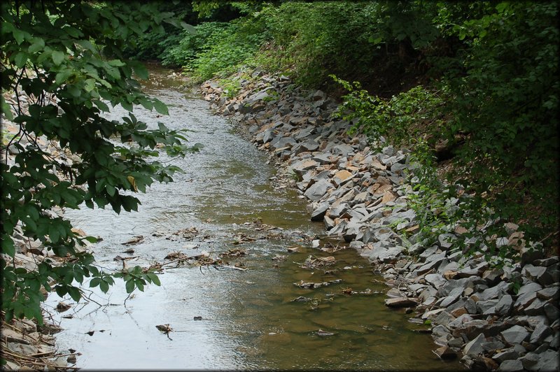 DSC_2637.JPG