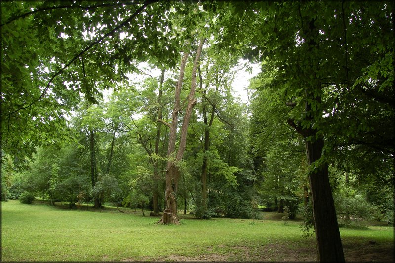 DSC_2639.JPG