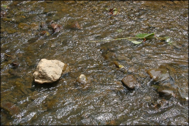 DSC_2645.JPG