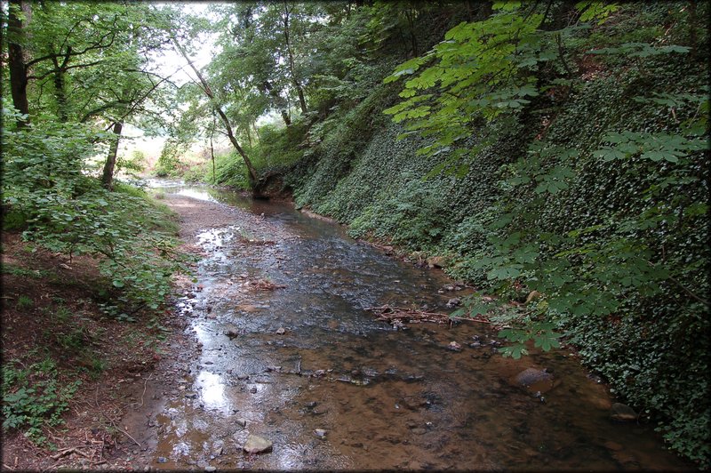 DSC_2648.JPG