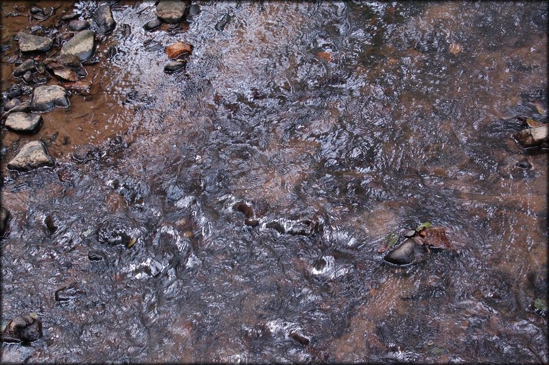 DSC_2650.JPG