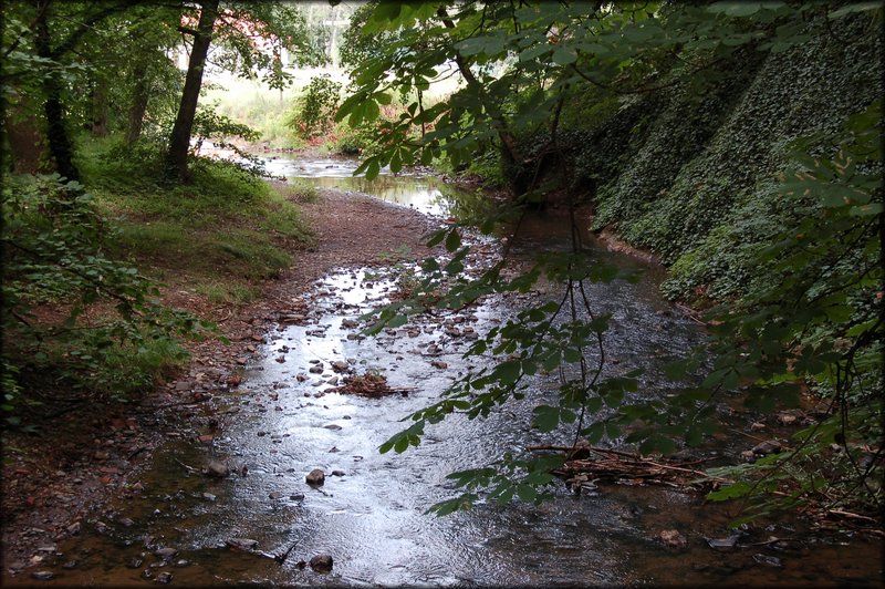 DSC_2651.jpg