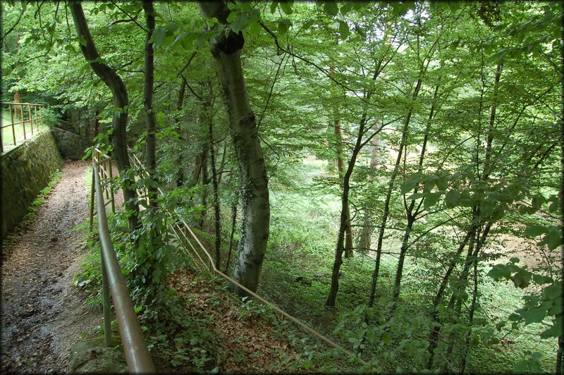 DSC_2658.JPG