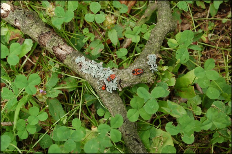 DSC_2662.JPG