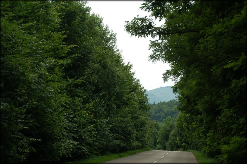 DSC_2673.JPG