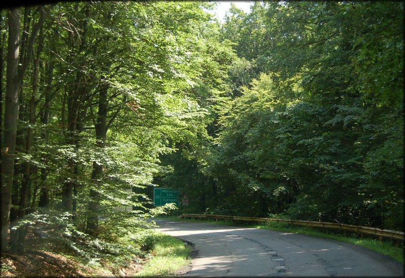 DSC_2683.jpg
