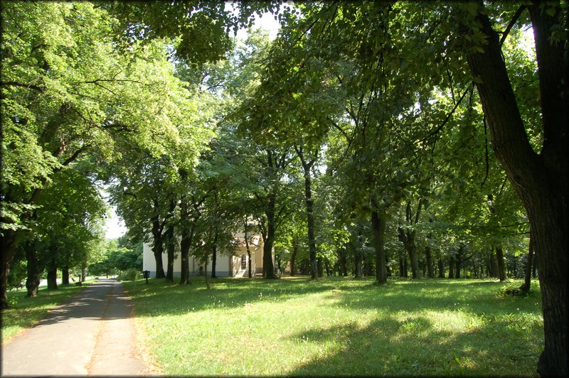 DSC_2697.JPG