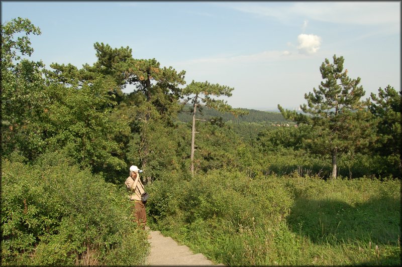 DSC_2764.JPG