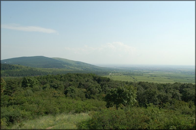 DSC_2768.JPG