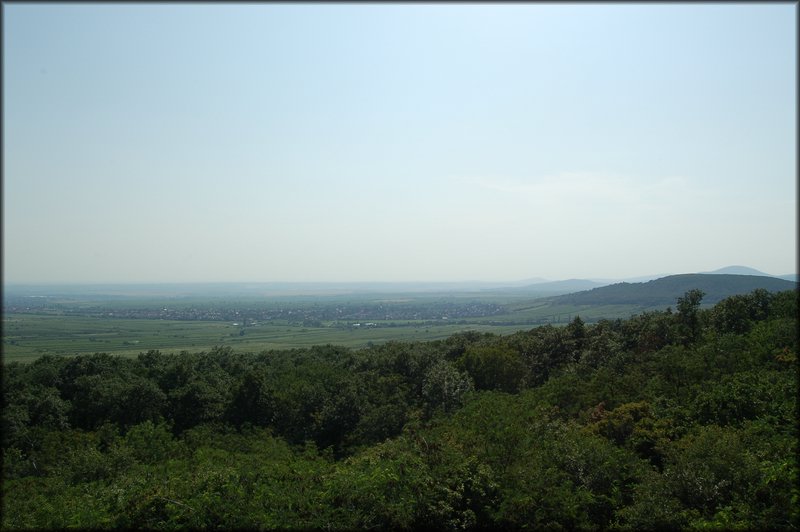 DSC_2769.JPG