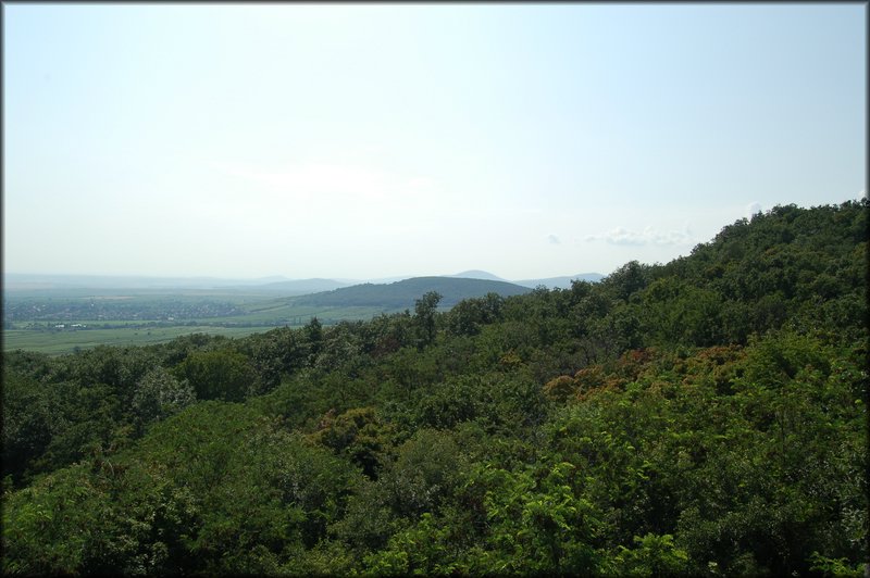 DSC_2770.JPG