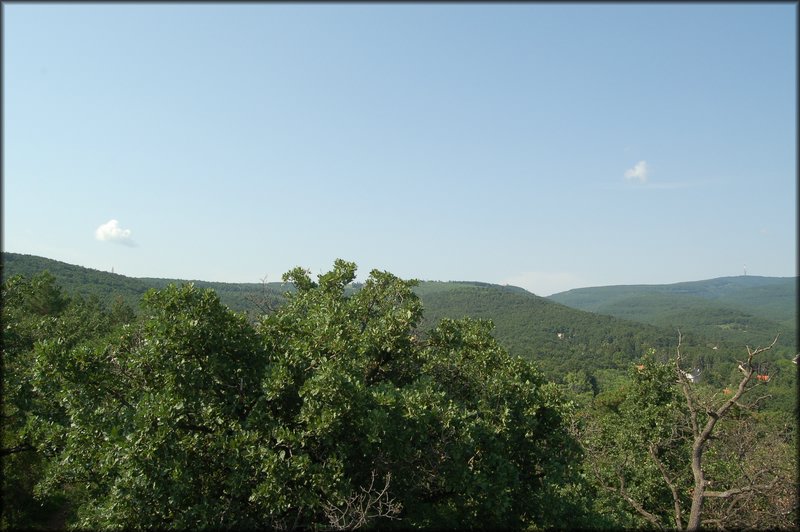 DSC_2771.JPG